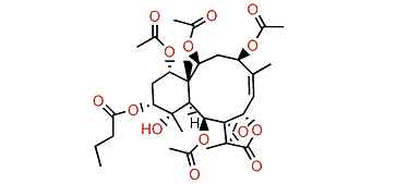 Briaviolide O